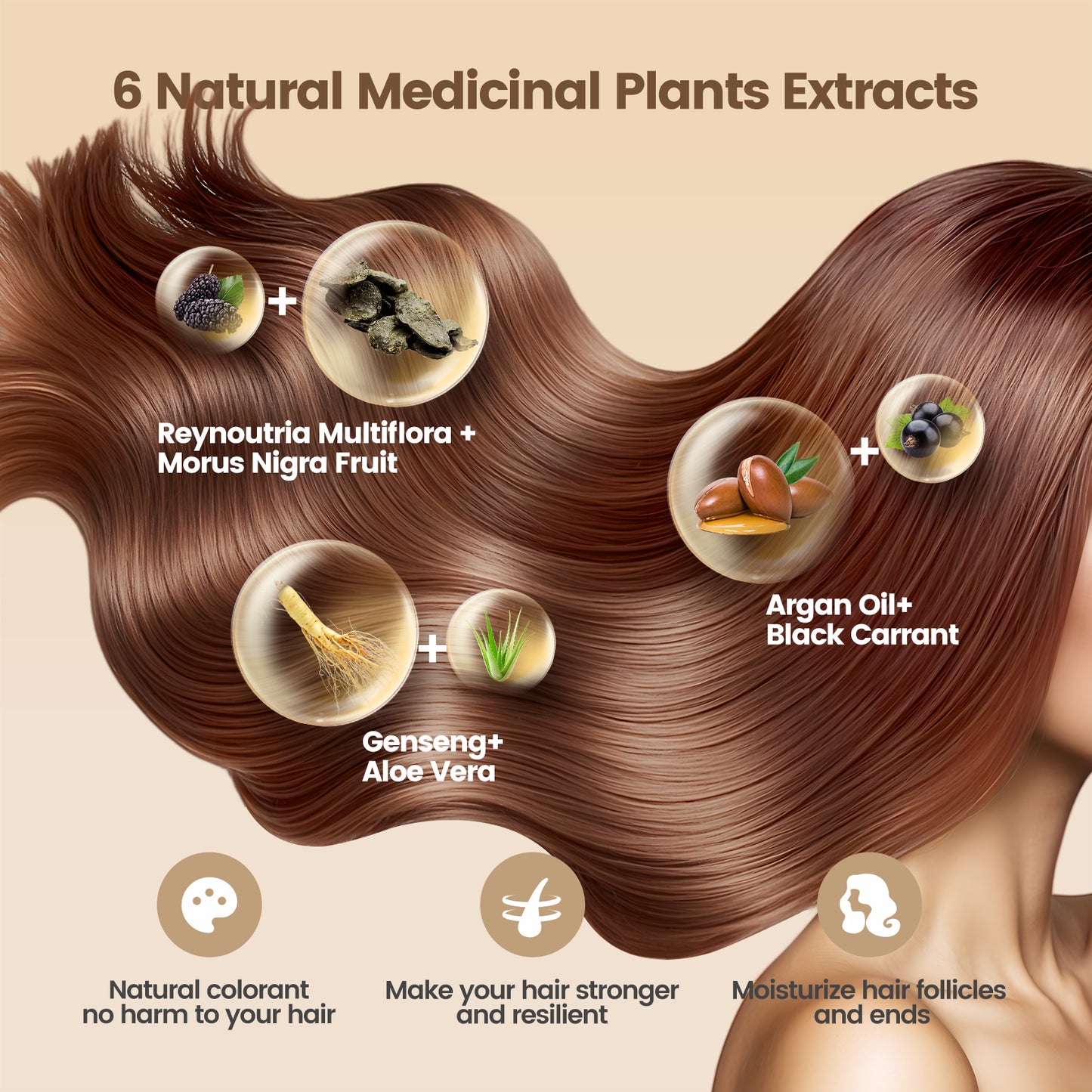 Chestnut Brown Hair Dye Shampoo