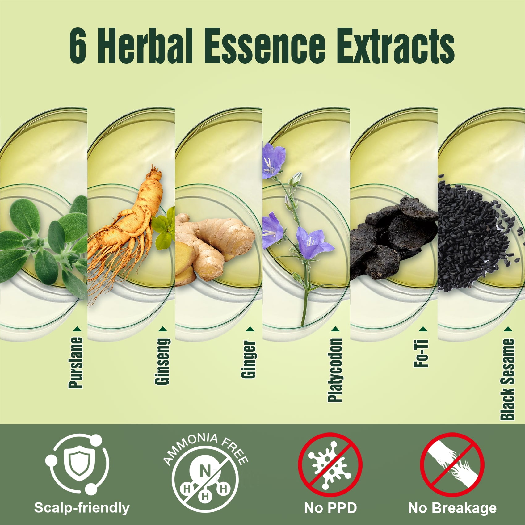 0% PPD 200ML Hair Dye Shampoo - Natural Black