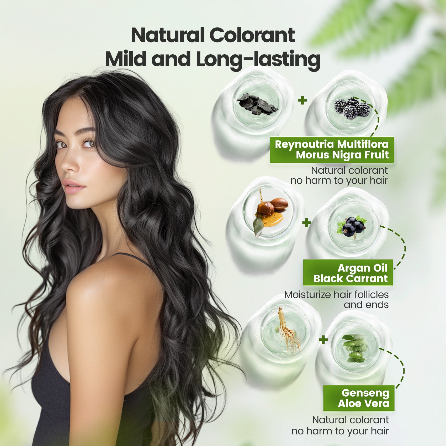 Clear-Water Rinse Hair Dye Travel-Size Hair Dye Shampoo 6 in 1 (10 Packs) - Chestnut Brown