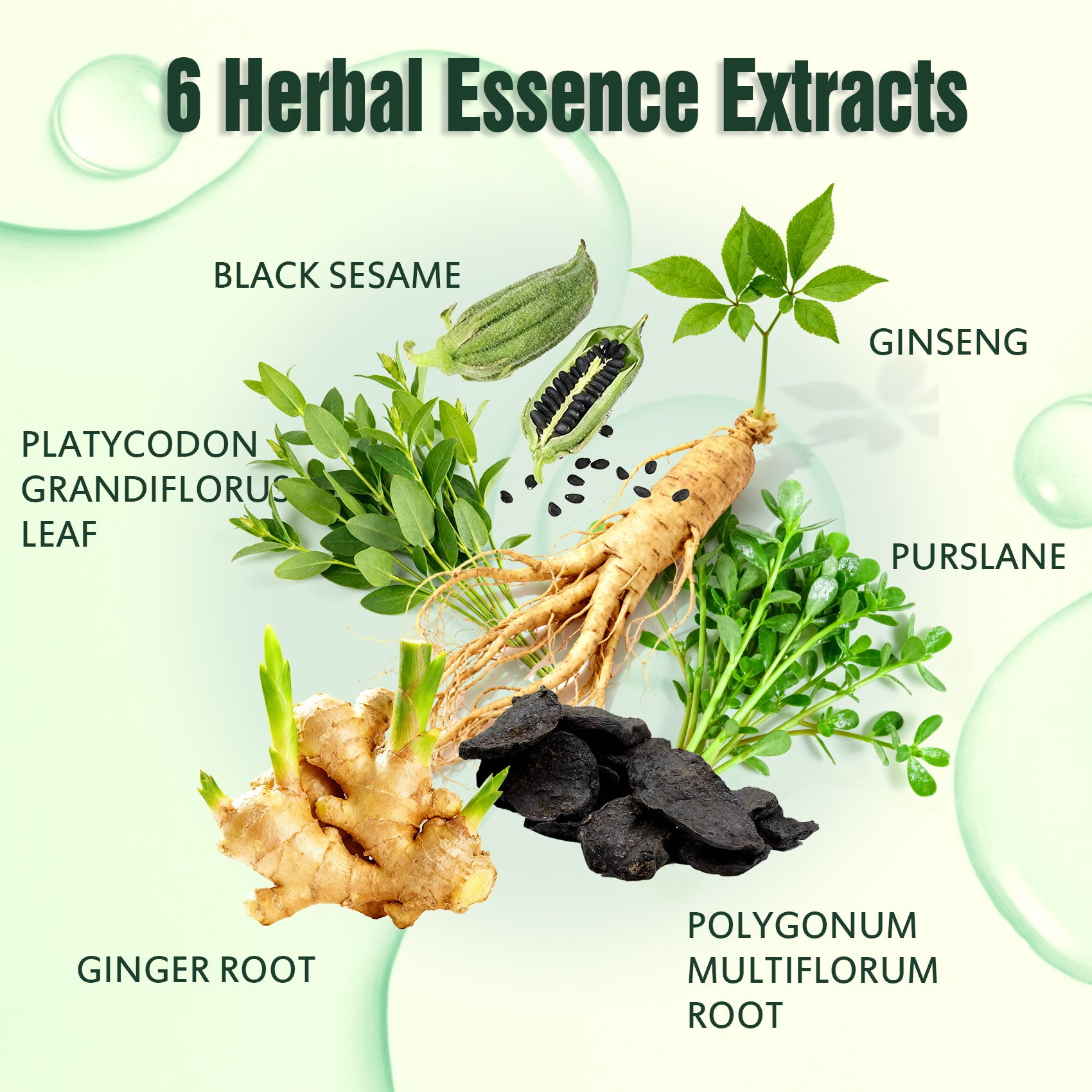 0% PPD Color Comb for Hair Dye - Natural Black